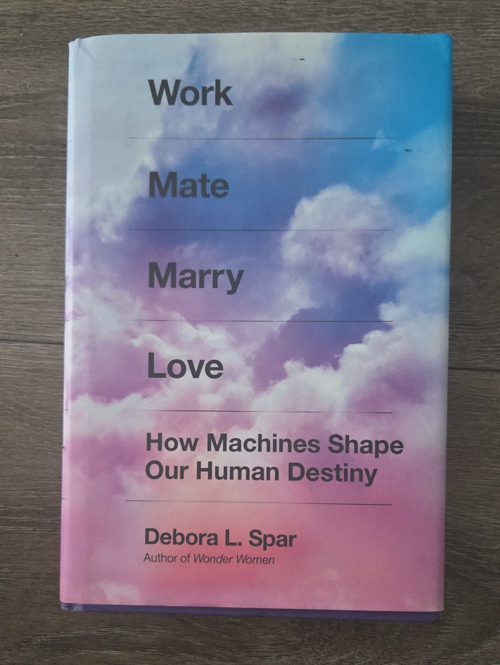 Work Mate Marry Love - Debora L. Spar Hardcover